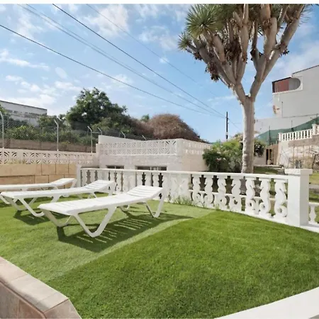 Agave * 拉克鲁斯