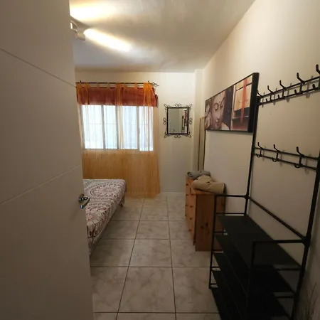 Agave * Puerto de la Cruz (Tenerife)